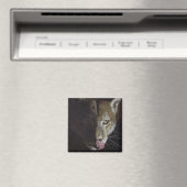 Cougar Night Magnet (In Situ (Geschirrspüler))