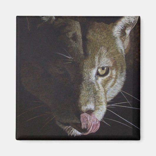 Cougar Night Magnet (Vorne)