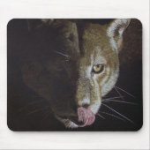 Cougar Night Mousepad (Vorne)