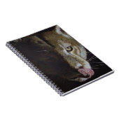 Cougar Night Notizblock (Rechte Seite)