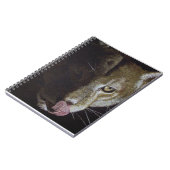 Cougar Night Notizblock (Linke Seite)