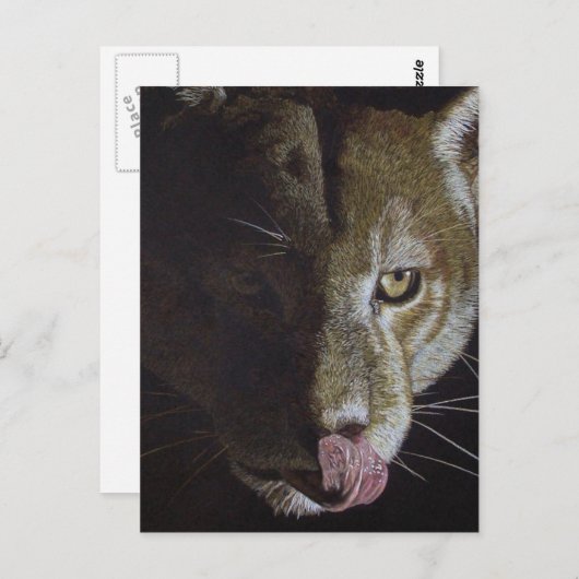 Cougar Night Postkarte (Vorne/Hinten)