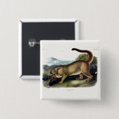 Cougar oder Puma, Panther, Mountain Lion, Catamoun Button (Vorne & Hinten)