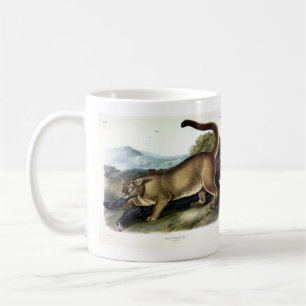 Cougar oder Puma, Panther, Mountain Lion, Catamoun Kaffeetasse