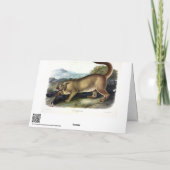 Cougar oder Puma, Panther, Mountain Lion, Catamoun Karte (Rückseite)
