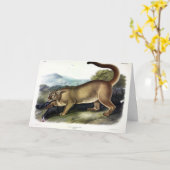 Cougar oder Puma, Panther, Mountain Lion, Catamoun Karte (Gelbe Blume)