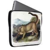 Cougar oder Puma, Panther, Mountain Lion, Catamoun Laptopschutzhülle (Vorne Rechts)