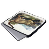 Cougar oder Puma, Panther, Mountain Lion, Catamoun Laptopschutzhülle (Vorne Knopf)