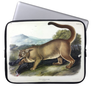 Cougar oder Puma, Panther, Mountain Lion, Catamoun Laptopschutzhülle