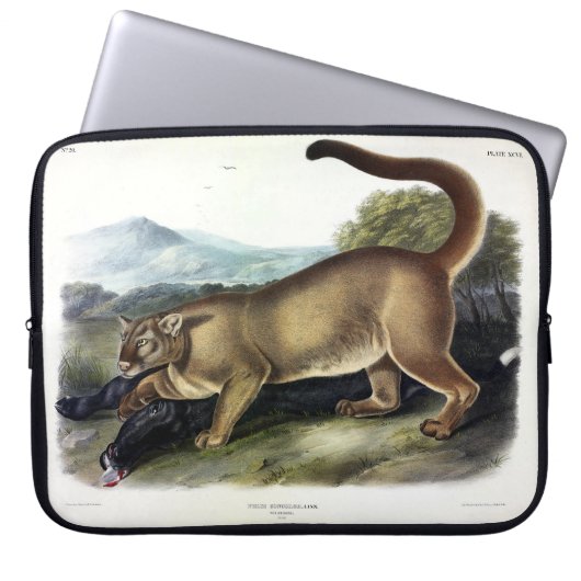 Cougar oder Puma, Panther, Mountain Lion, Catamoun Laptopschutzhülle (Vorderseite)