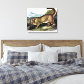 Cougar oder Puma, Panther, Mountain Lion, Catamoun Leinwanddruck (Insitu (Schlafzimmer))