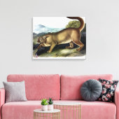 Cougar oder Puma, Panther, Mountain Lion, Catamoun Leinwanddruck (Insitu (Wohnzimmer))