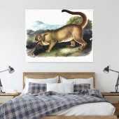 Cougar oder Puma, Panther, Mountain Lion, Catamoun Leinwanddruck (Insitu (Schlafzimmer))