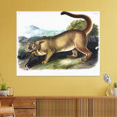 Cougar oder Puma, Panther, Mountain Lion, Catamoun Leinwanddruck (Insitu (Wohnzimmer))