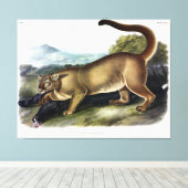 Cougar oder Puma, Panther, Mountain Lion, Catamoun Leinwanddruck (Insitu (Holzboden))