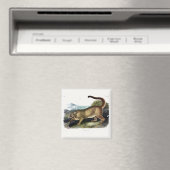 Cougar oder Puma, Panther, Mountain Lion, Catamoun Magnet (In Situ (Geschirrspüler))