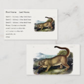 Cougar oder Puma, Panther, Mountain Lion, Catamoun Visitenkarte (Vorne/Hinten)