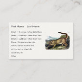 Cougar oder Puma, Panther, Mountain Lion, Catamoun Visitenkarte (Vorderseite)