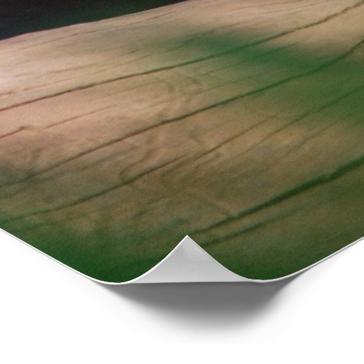 Cougar-Poster Poster (Ecke)