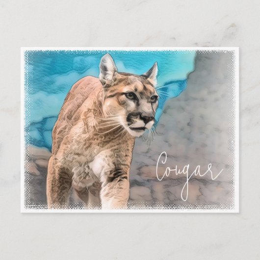 Cougar Postkarte (Vorderseite)
