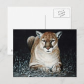 Cougar Postkarte (Vorne/Hinten)