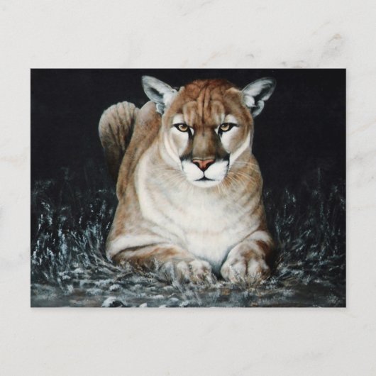 Cougar Postkarte (Vorderseite)