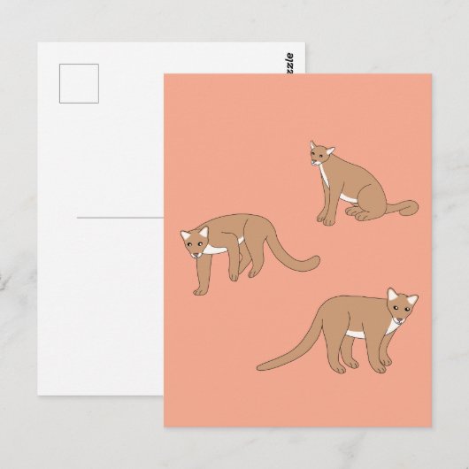 Cougar Postkarte (Vorne/Hinten)
