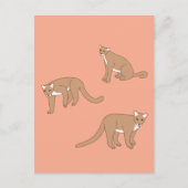 Cougar Postkarte (Vorderseite)