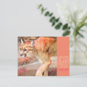 Cougar [Postkarte] Postkarte (Stehend Vorderseite)