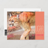 Cougar [Postkarte] Postkarte (Vorne/Hinten)