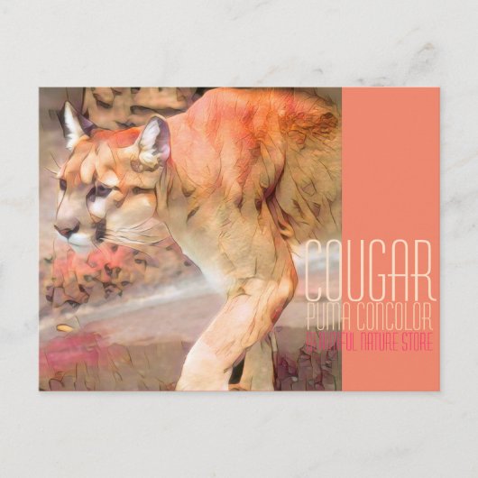 Cougar [Postkarte] Postkarte (Vorderseite)