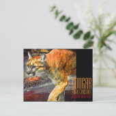 Cougar [Postkarte] Postkarte (Stehend Vorderseite)