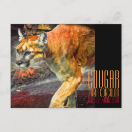 Cougar [Postkarte] Postkarte