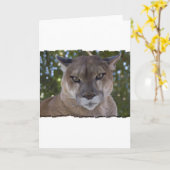 Cougar Pounce Grußkarte Karte (Gelbe Blume)