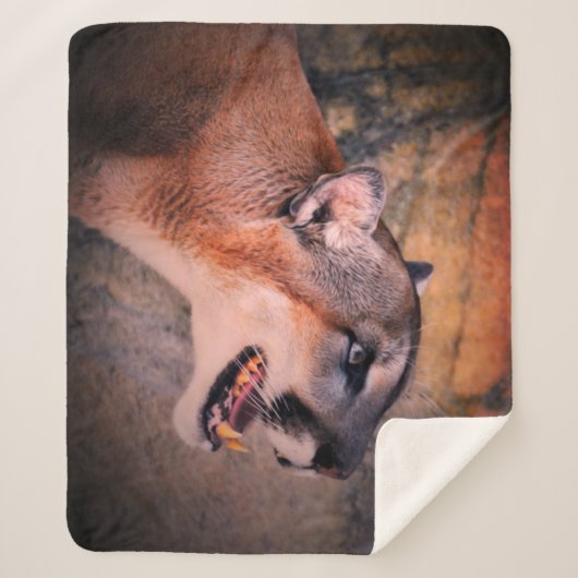 Cougar Profile  Sherpadecke (Vorderseite)