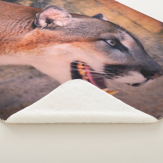 Cougar Profile  Sherpadecke (3/4)