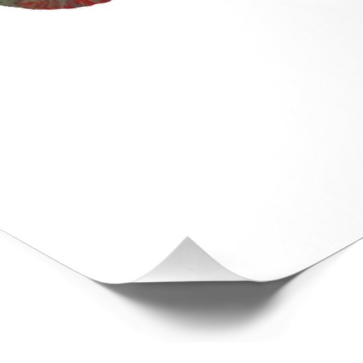 Cougar / Puma Art Poster (Ecke)