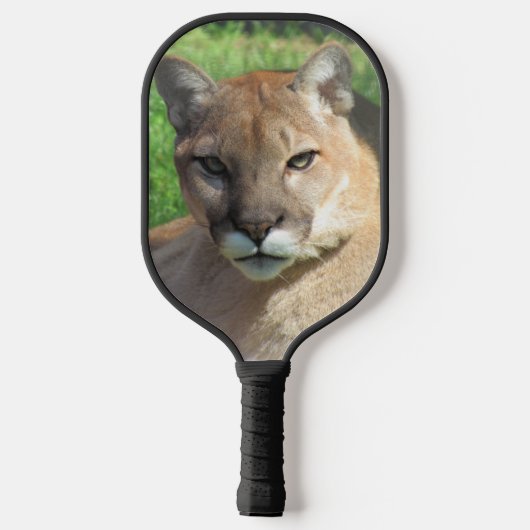 Cougar / Puma / Florida Panther Pickleball Paddle (Rückseite)