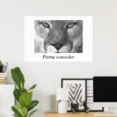 Cougar-Puma-Konzolor Poster (Heimbüro)