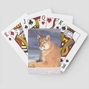 Cougar-Ruhen Spielkarten