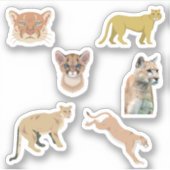 Cougar Stickers Aufkleber (Vorderseite)