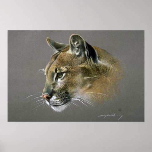 Cougar-Studie Poster (Vorne)