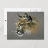 Cougar-Studie Postkarte (Vorne/Hinten)