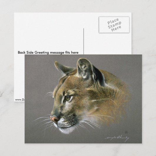 Cougar-Studie Postkarte (Vorne/Hinten)