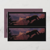 Cougar und der Grand Canyon Postkarte (Vorne/Hinten)