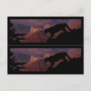 Cougar und der Grand Canyon Postkarte