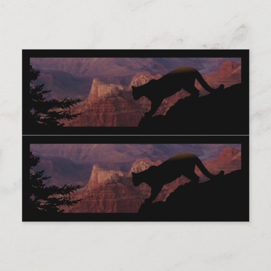Cougar und der Grand Canyon Postkarte (Vorderseite)