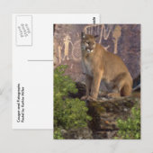 Cougar und Pictografs Postkarte (Vorne/Hinten)
