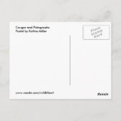 Cougar und Pictografs Postkarte (Rückseite)