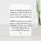 Cougar Valentine Card Feiertagskarte (Rückseite)